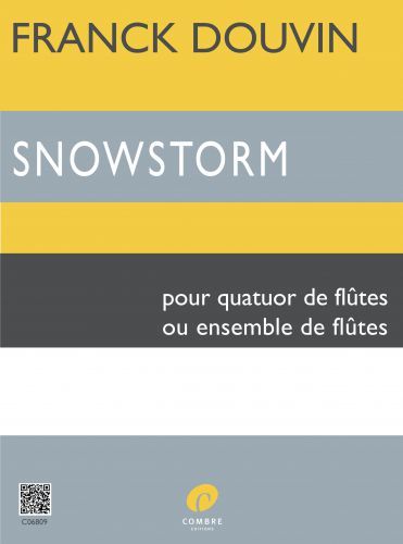 couverture Snowstorm Combre