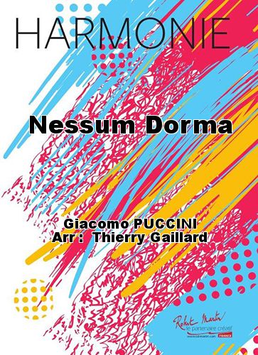 cover Nessum Dorma Martin Musique
