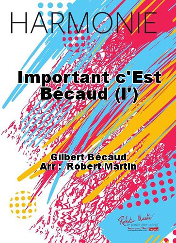 cover The Important is Bcaud Martin Musique